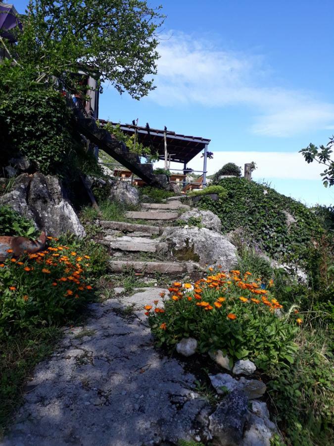 Camp Sunny Hills Hotel Вирпазар Екстериор снимка
